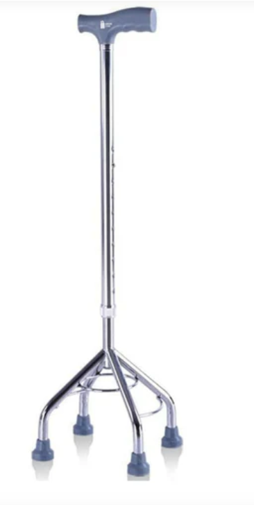 Walking stick with 4 legs